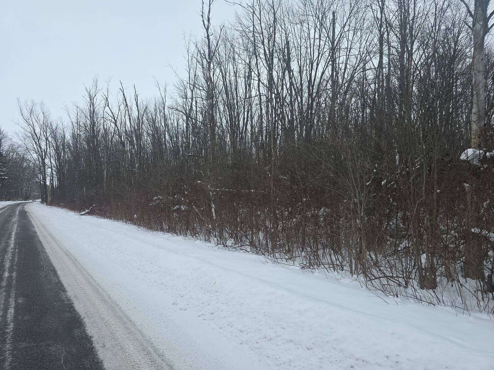 2.28 Acres of Residential Land for Sale in Sullivan, New York