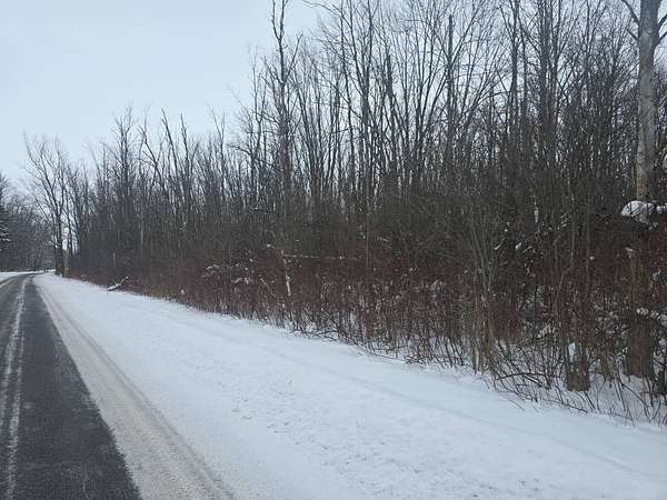 2.28 Acres of Residential Land for Sale in Sullivan, New York