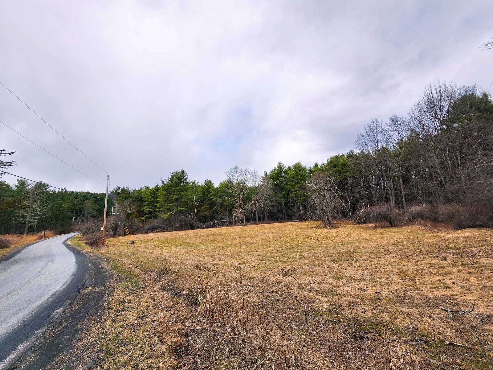 13 Acres of Recreational & Residential Land for Sale in Freehold, New York