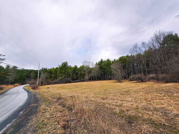 13 Acres of Recreational & Residential Land for Sale in Freehold, New York