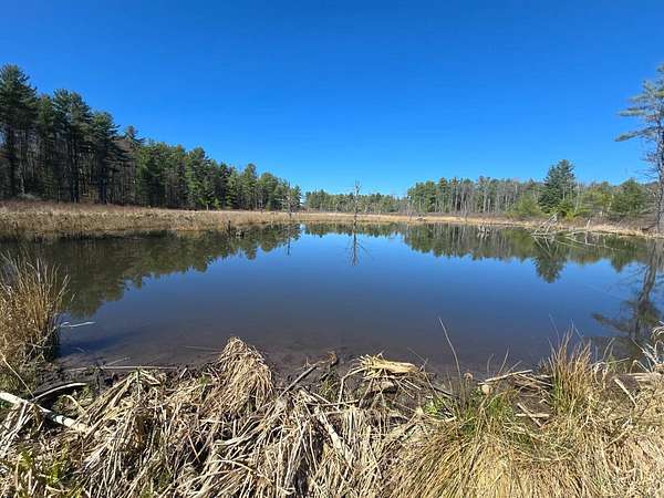 82 Acres of Recreational & Residential Land for Sale in Norwich, New York