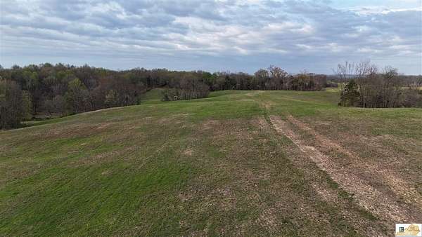 45 Acres of Land for Sale in Hardyville, Kentucky