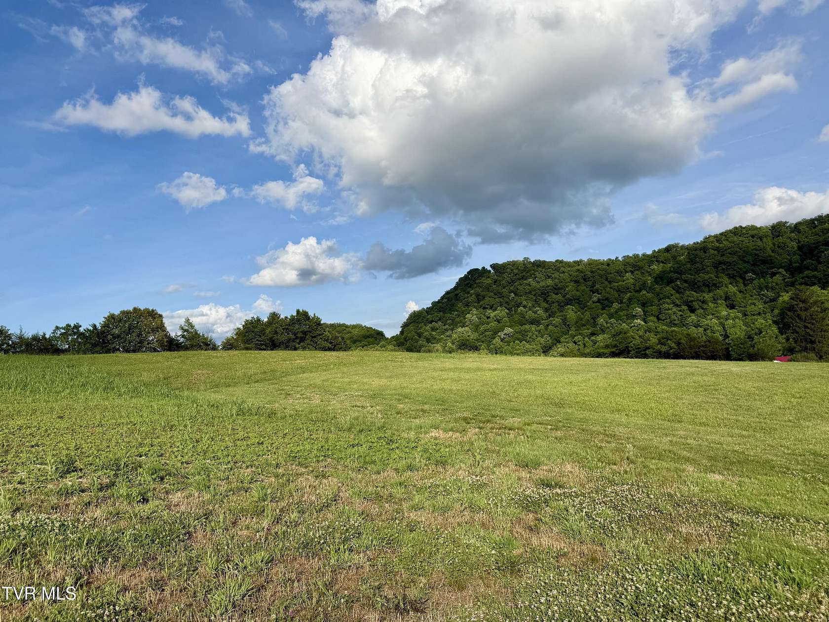 20 Acres of Recreational Land for Sale in Bulls Gap, Tennessee