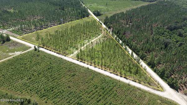 7.82 Acres of Residential Land for Sale in Brunswick, Georgia