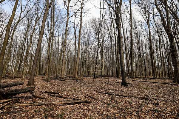 23 Acres of Recreational & Residential Land for Sale in Bloomingdale, Michigan