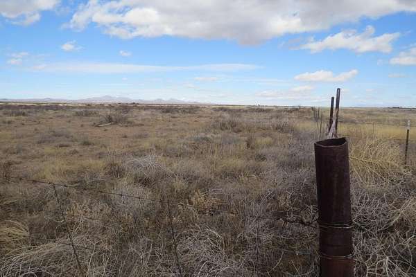 220 Acres of Land for Sale in McNeal, Arizona