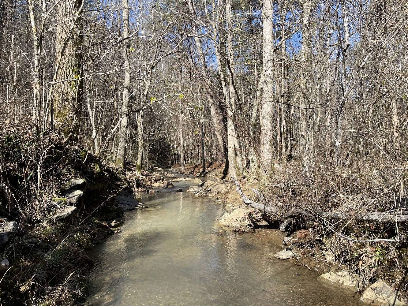 120 Acres of Recreational Land for Sale in Oakman, Alabama