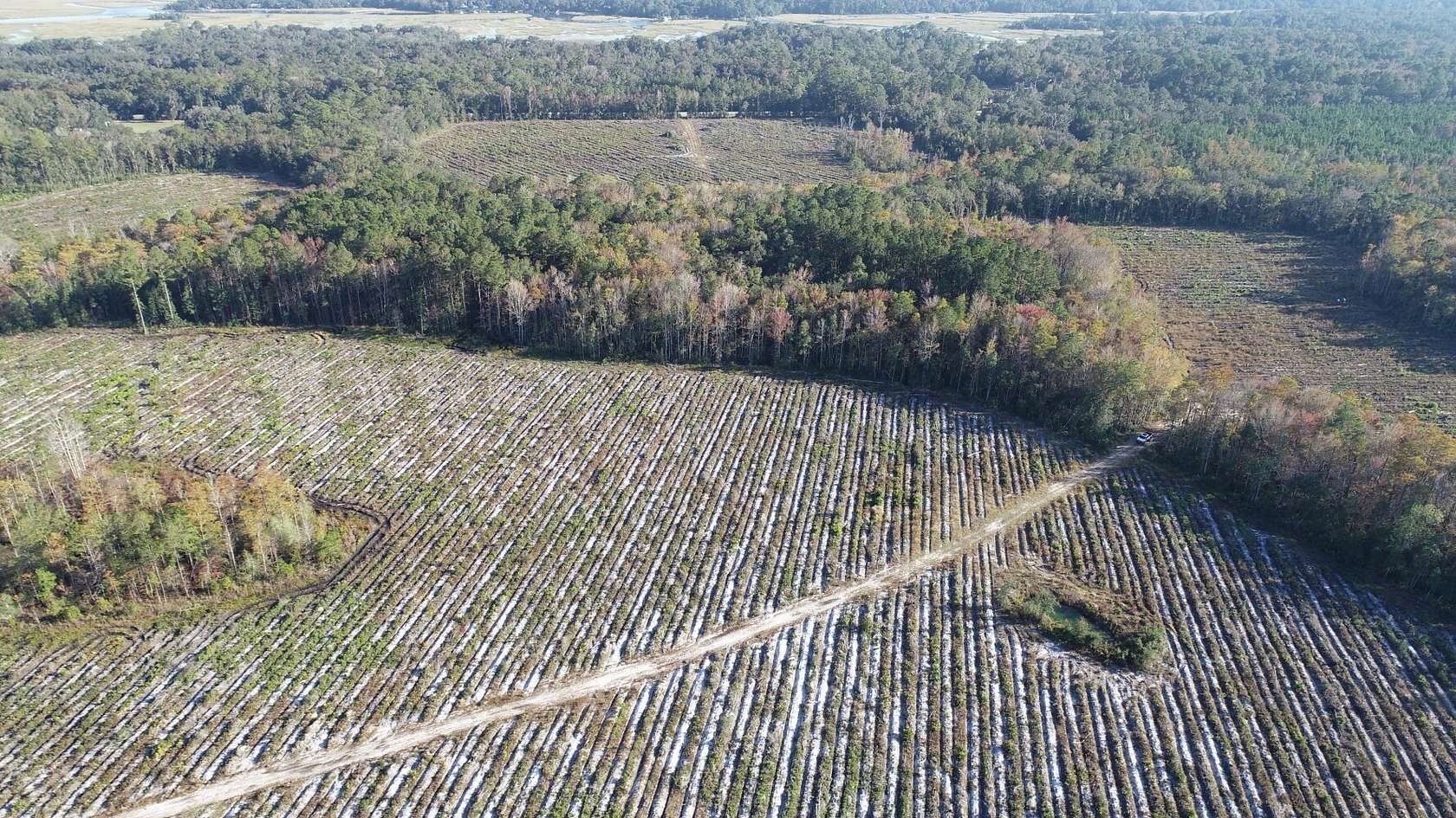 281 Acres of Recreational Land for Sale in Meridian, Georgia