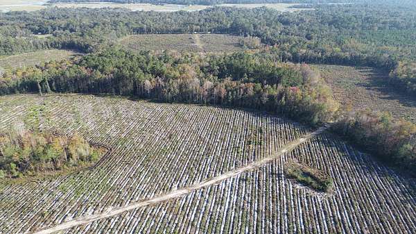 281 Acres of Recreational Land for Sale in Meridian, Georgia