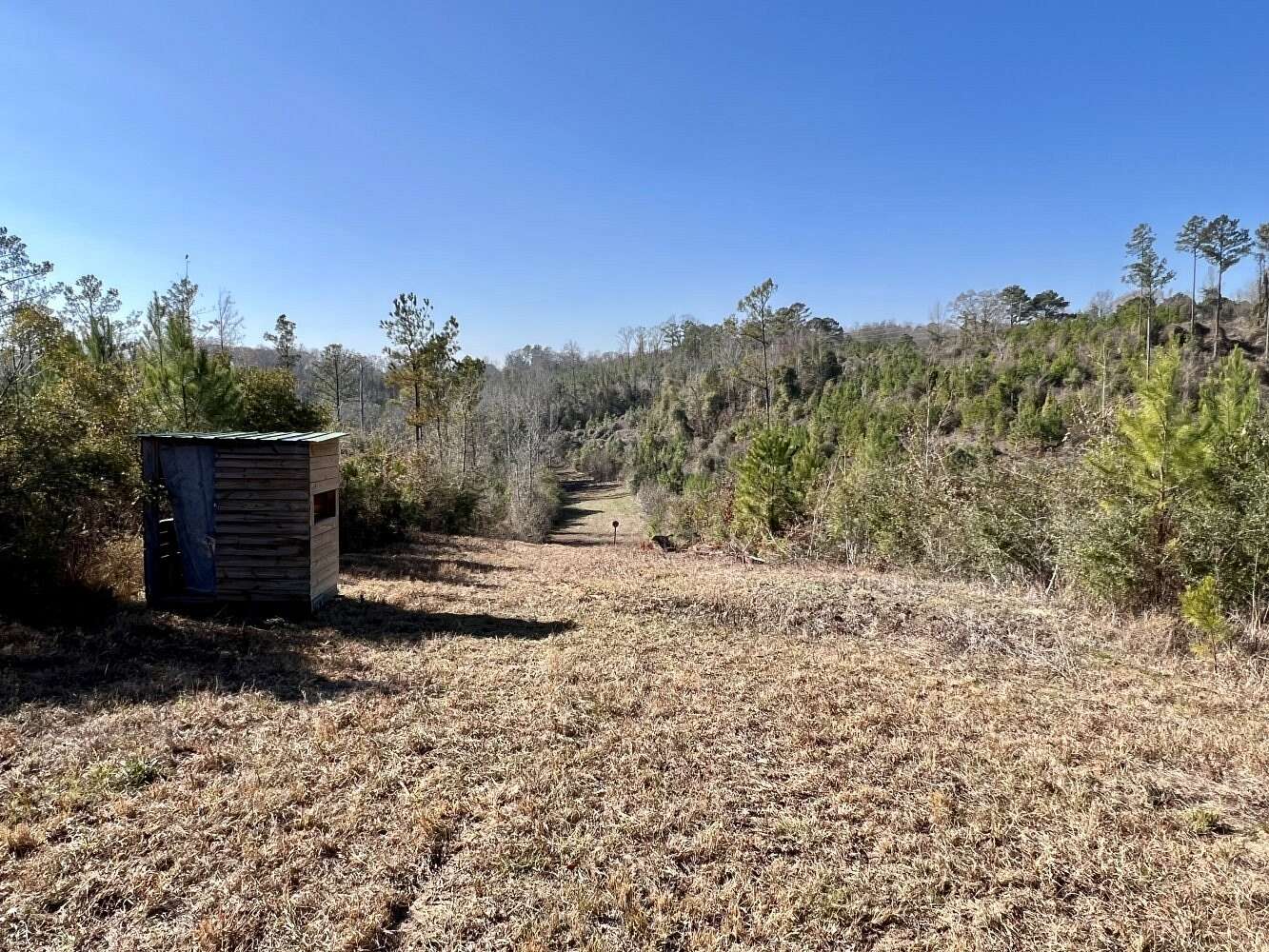 198 Acres of Recreational Land for Sale in Valley Grande, Alabama
