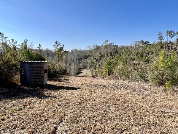 198 Acres of Recreational Land for Sale in Valley Grande, Alabama