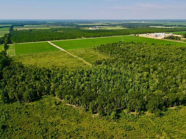 152 Acres of Land for Sale in Atmore, Alabama