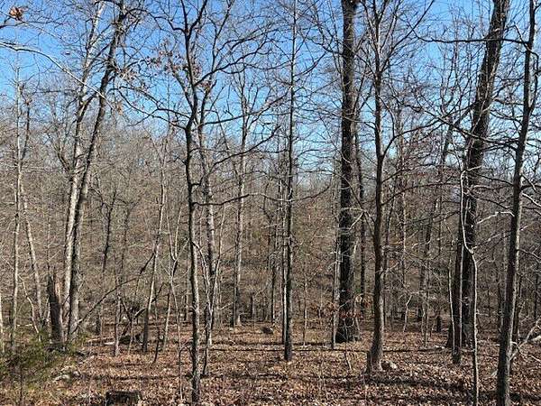 217 Acres of Land for Sale in Ash Flat, Arkansas