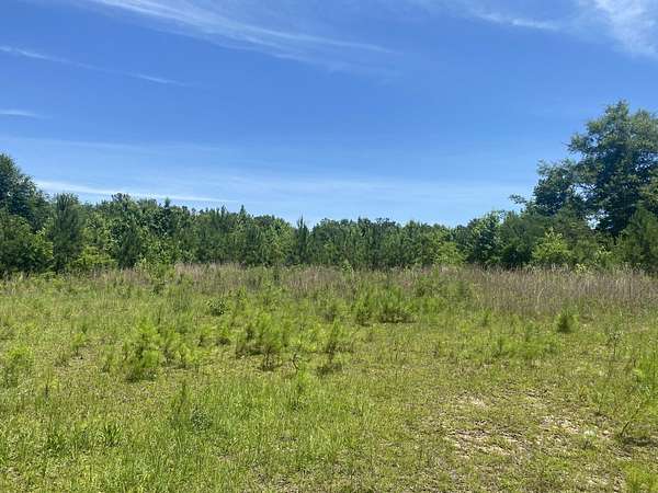 30 Acres of Commercial Land for Sale in Tuskegee, Alabama