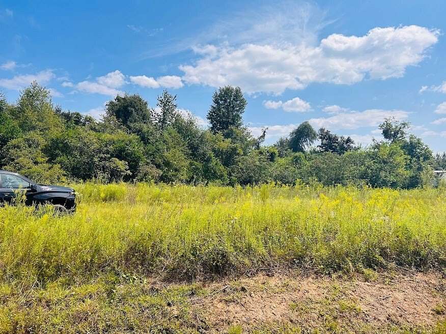 2.57 Acres of Mixed-Use Land for Sale in Albany, Georgia