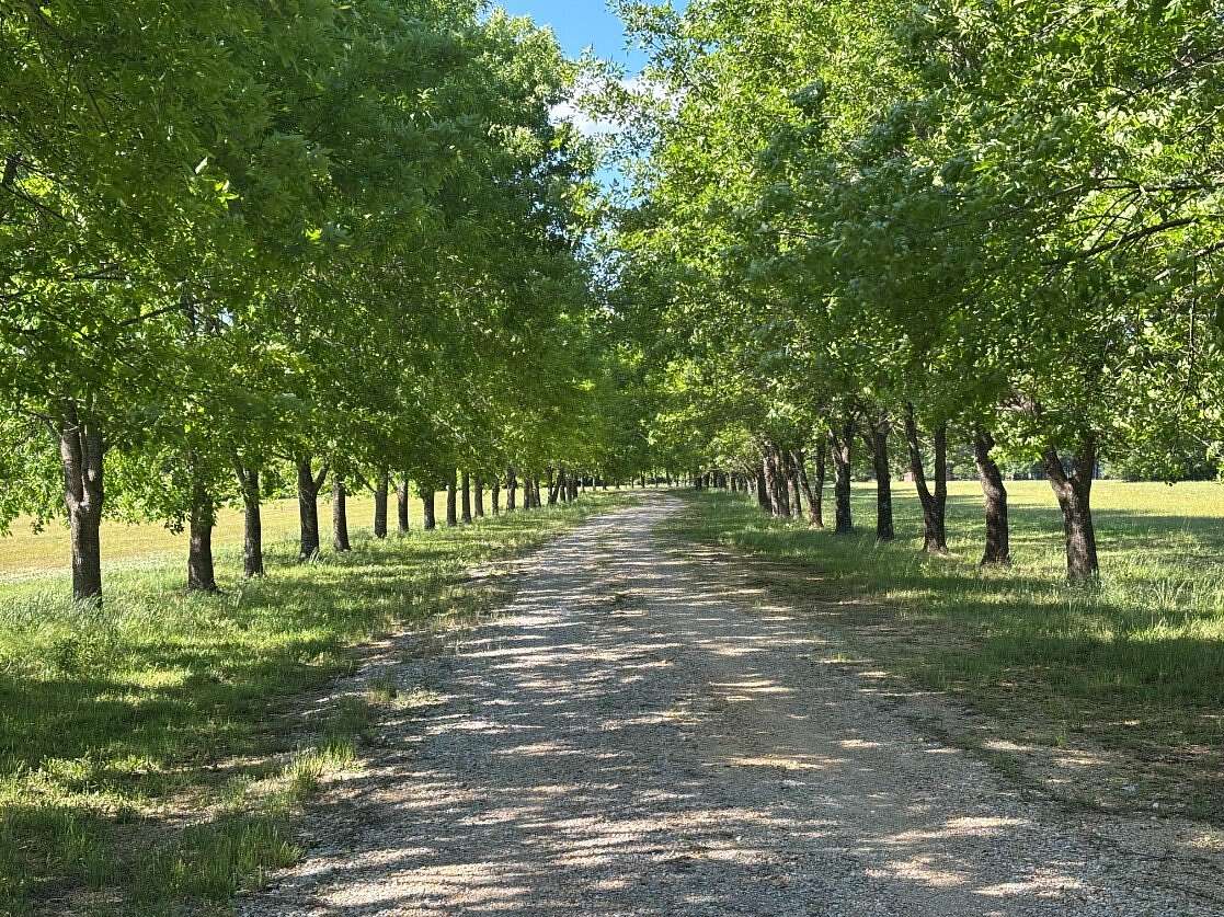 47 Acres of Agricultural Land with Home for Sale in Columbus, Mississippi