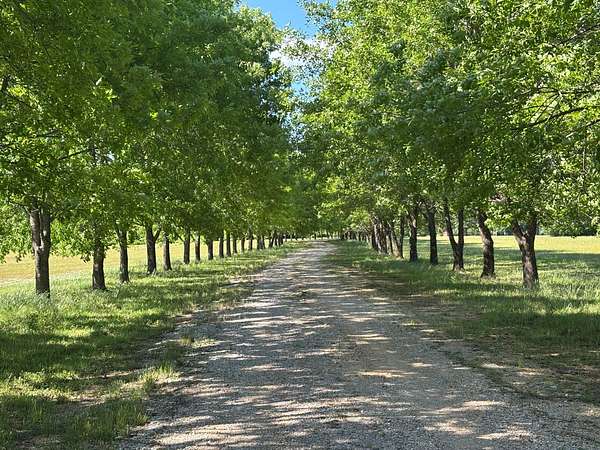 47 Acres of Agricultural Land with Home for Sale in Columbus, Mississippi