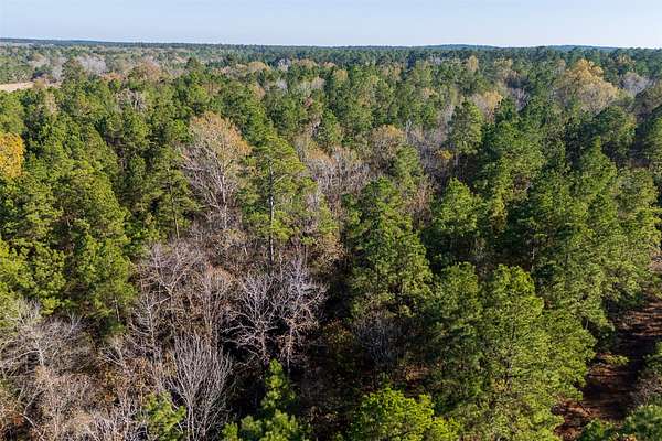 70 Acres of Recreational & Residential Land for Sale in Kennard, Texas