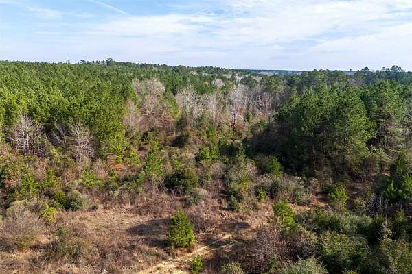 53.5 Acres of Recreational & Residential Land for Sale in Center, Texas