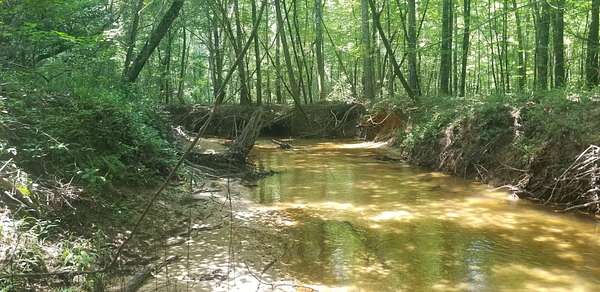 494 Acres of Recreational & Residential Land for Sale in Selma, Alabama