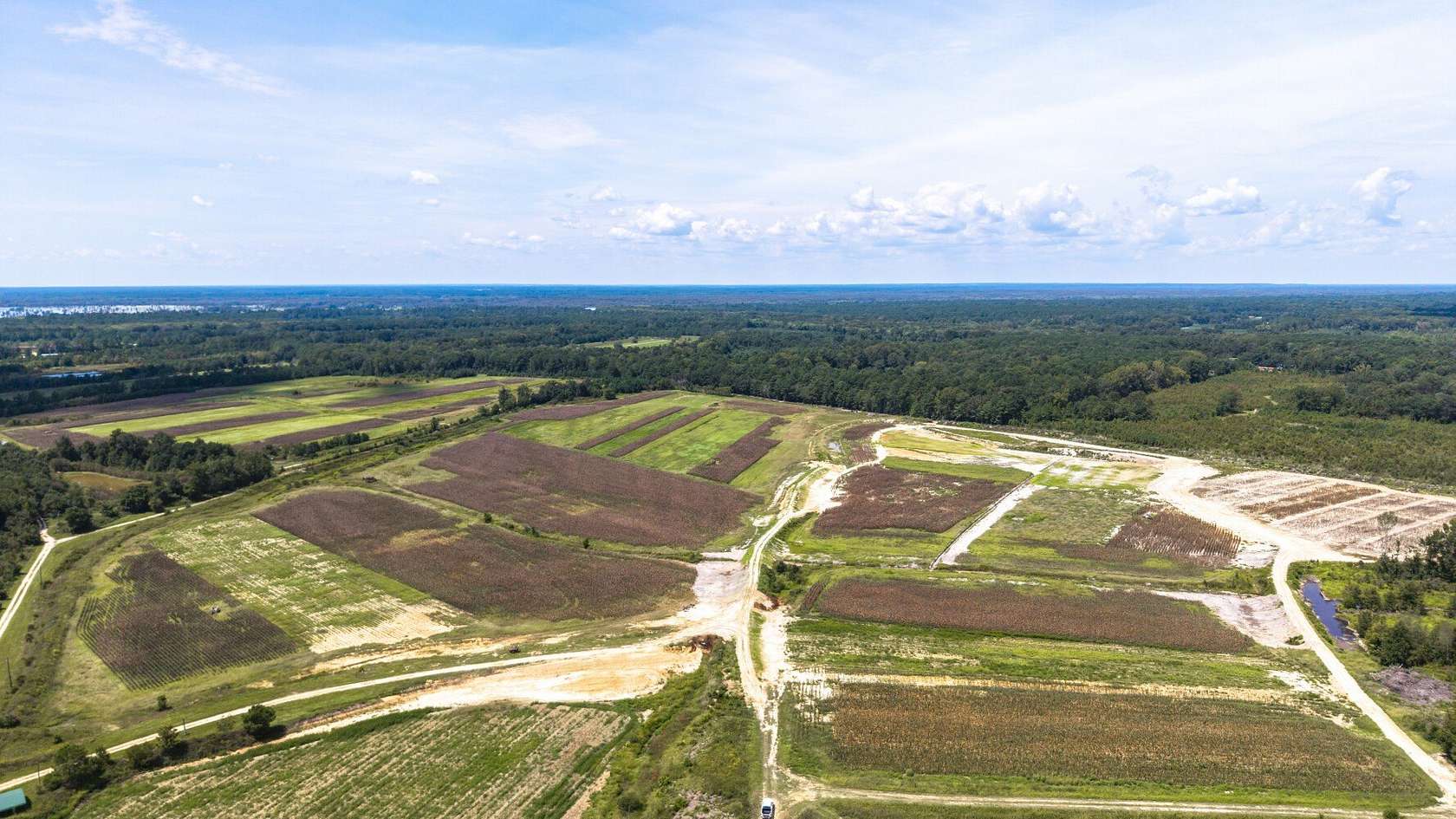 650 Acres of Land for Sale in Summerton, South Carolina