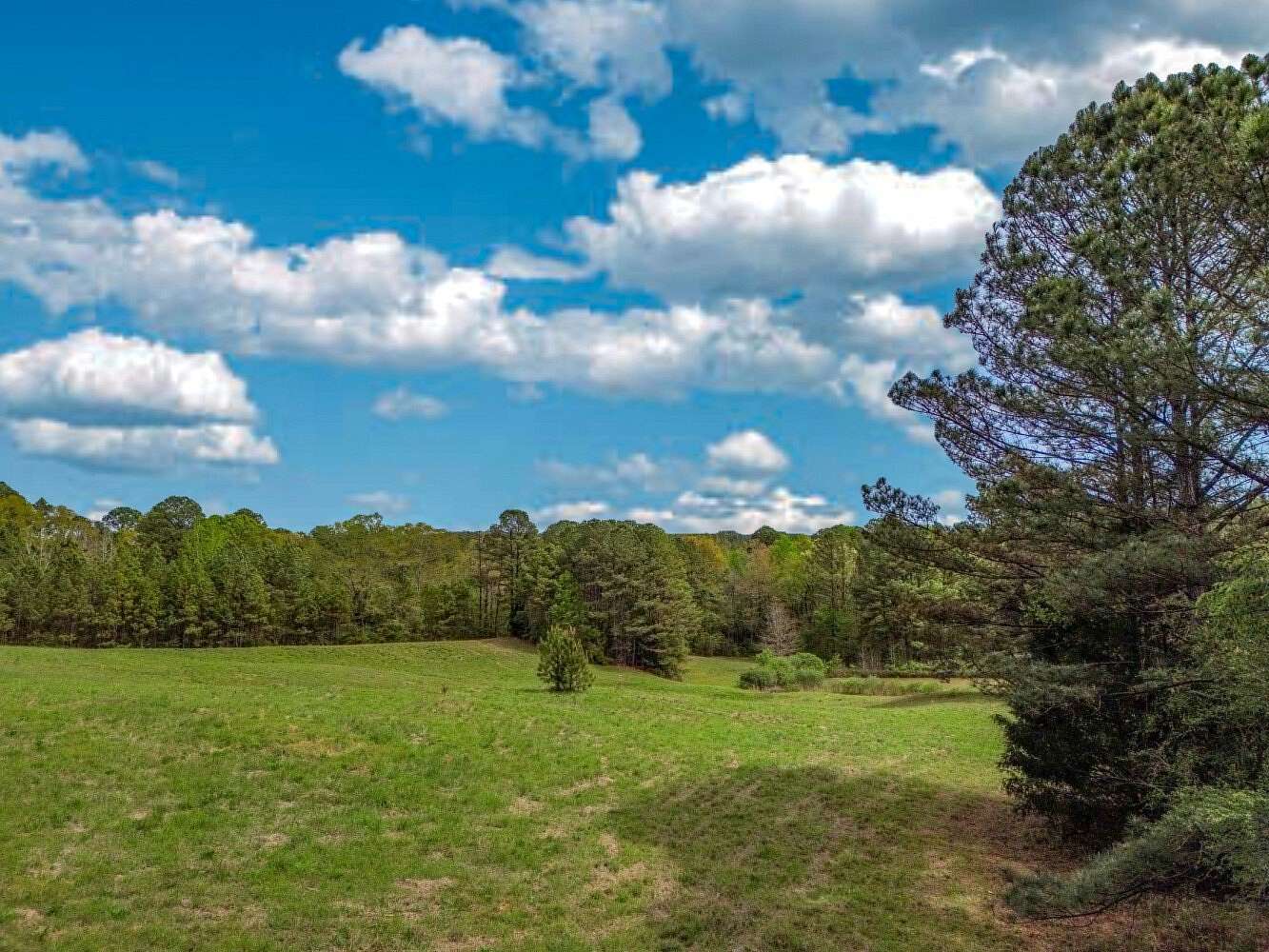 100 Acres of Recreational Land with Home for Sale in Reform, Alabama
