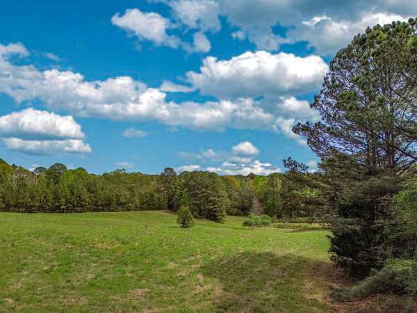 100 Acres of Recreational Land with Home for Sale in Reform, Alabama