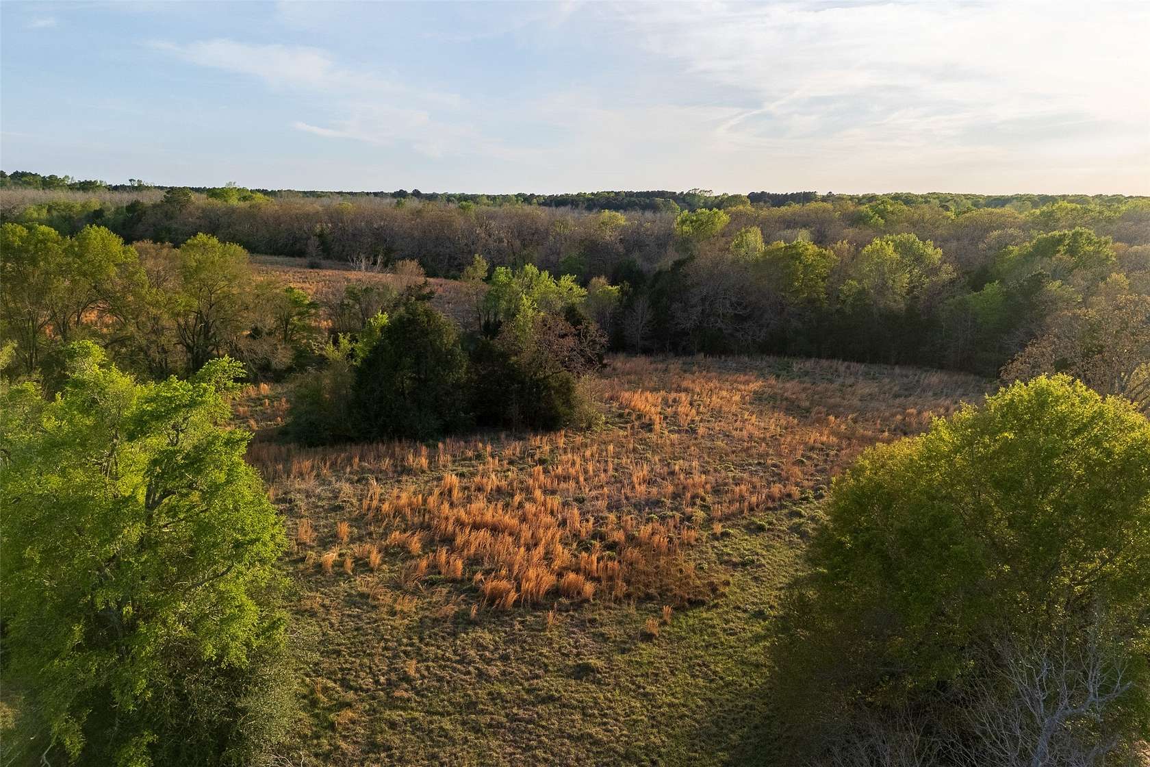 29 Acres of Land for Sale in Elkhart, Texas