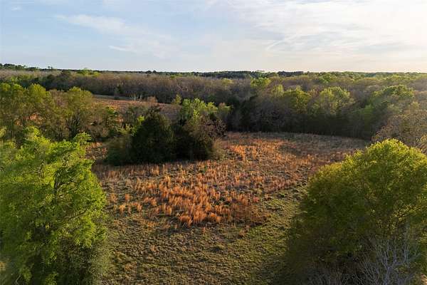 29 Acres of Land for Sale in Elkhart, Texas