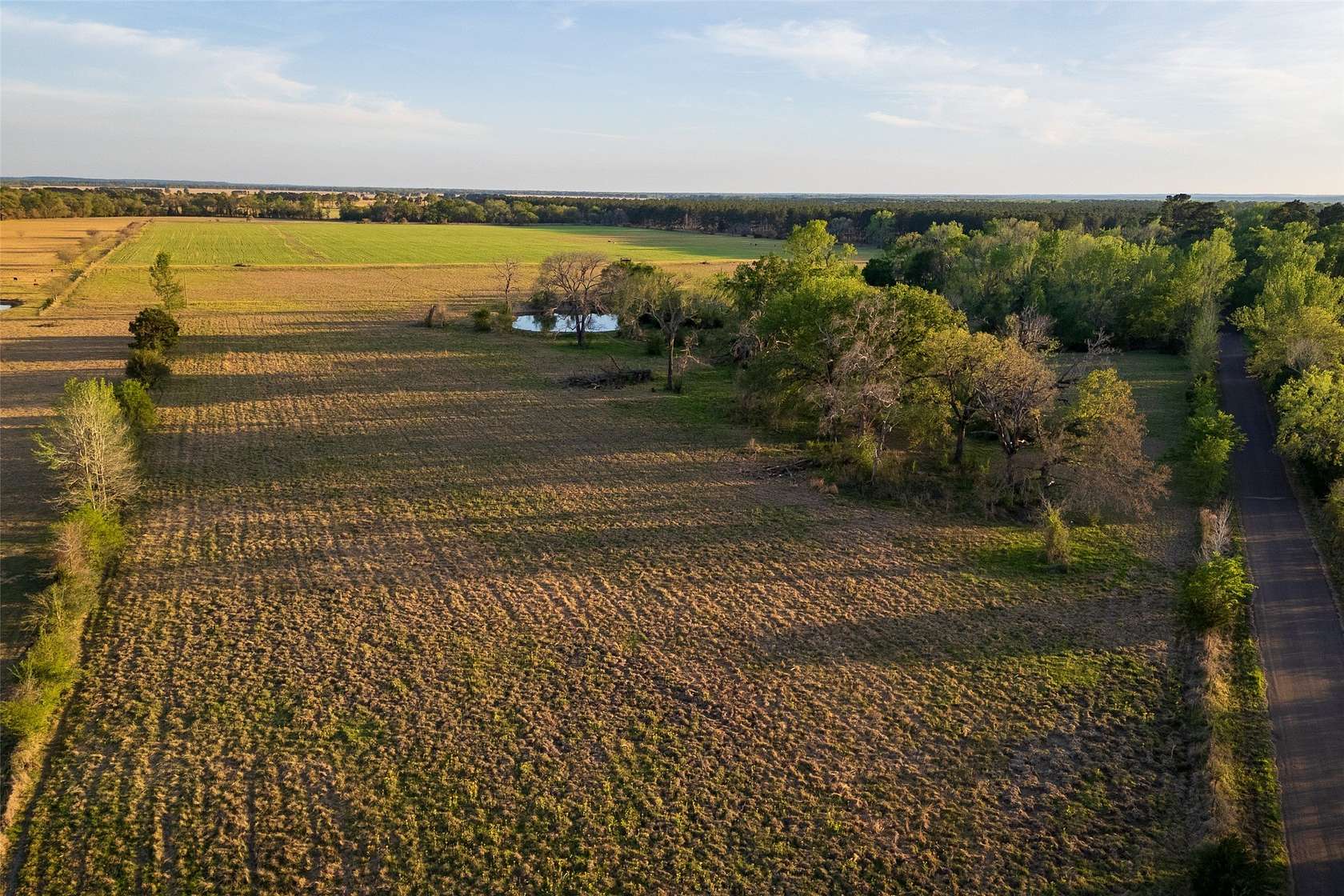 80 Acres of Land for Sale in Elkhart, Texas