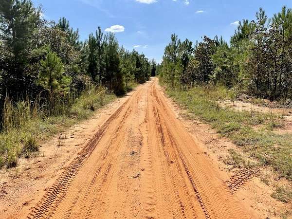 3 Acres of Residential Land for Sale in Jackson, Alabama