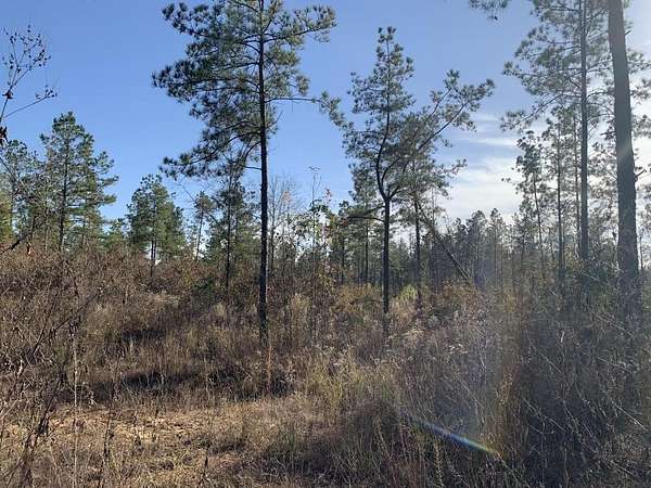 29 Acres of Recreational Land for Sale in Eros, Louisiana