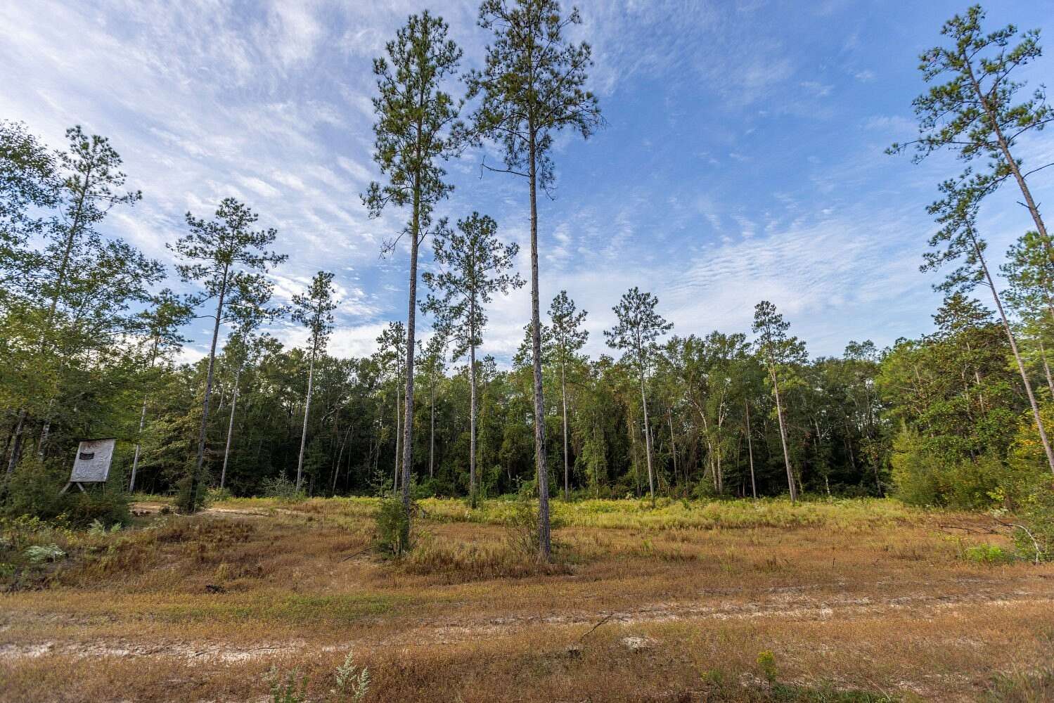 12 Acres of Land for Sale in Bay Minette, Alabama