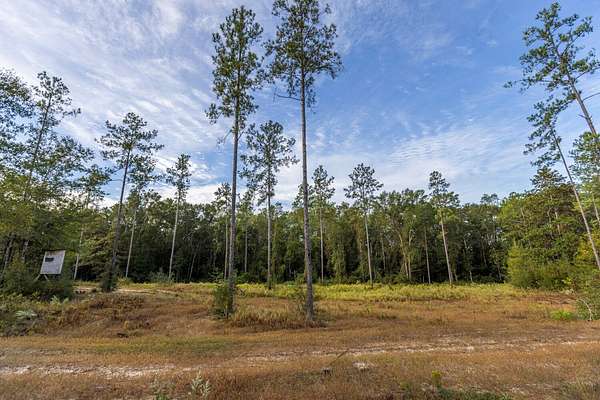 12 Acres of Land for Sale in Bay Minette, Alabama