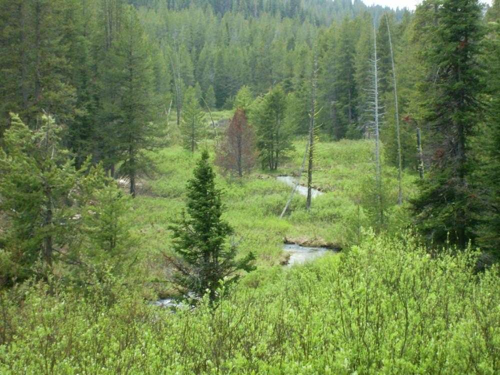 146 Acres of Recreational Land for Sale in Idaho City, Idaho