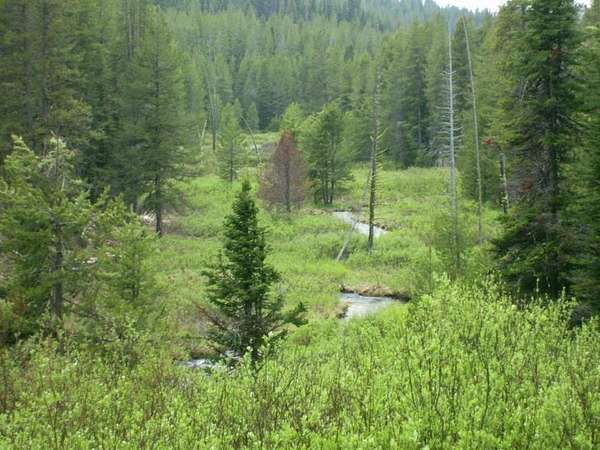 146 Acres of Recreational Land for Sale in Idaho City, Idaho