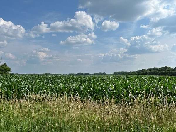 41.5 Acres of Mixed-Use Land for Sale in Pine City, Minnesota