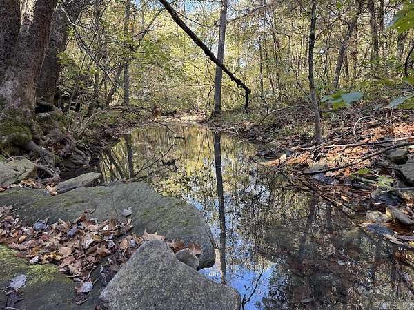 532 Acres of Recreational Land for Sale in Berryville, Arkansas