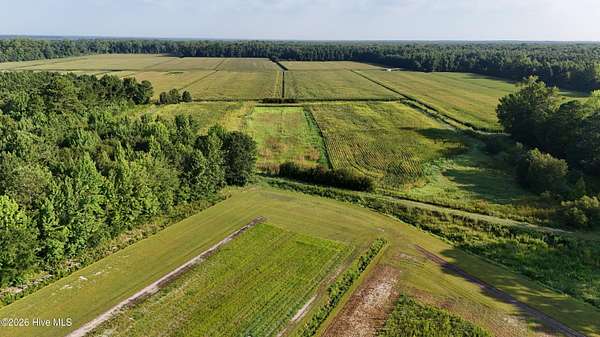 123 Acres of Land for Sale in Oriental, North Carolina