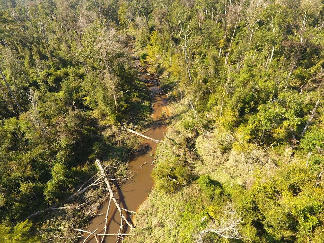 128 Acres of Recreational Land for Sale in Ragley, Louisiana