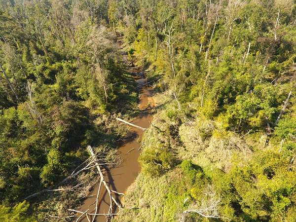 128 Acres of Recreational Land for Sale in Ragley, Louisiana