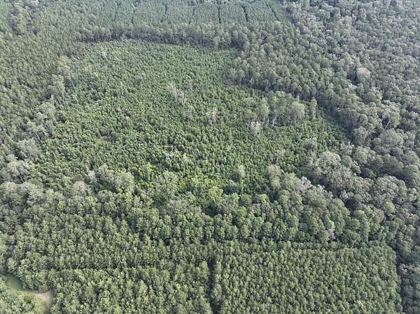 50 Acres of Recreational Land for Sale in Oberlin, Louisiana