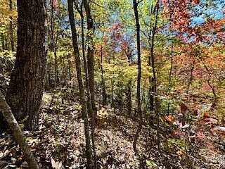 109 Acres of Recreational & Residential Land for Sale in Manchester, Kentucky