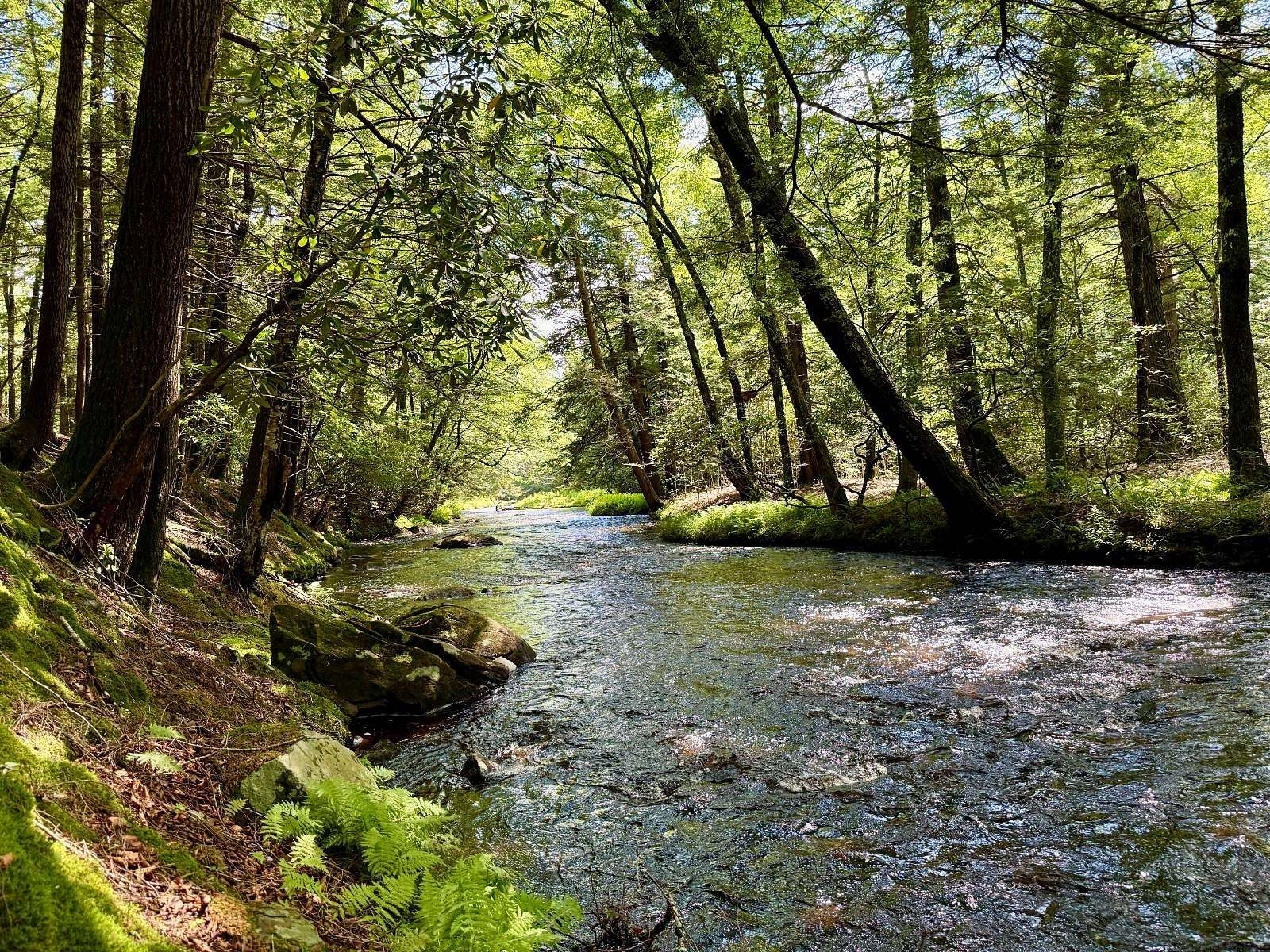 72.3 Acres of Recreational & Residential Land for Sale in Monticello, New York