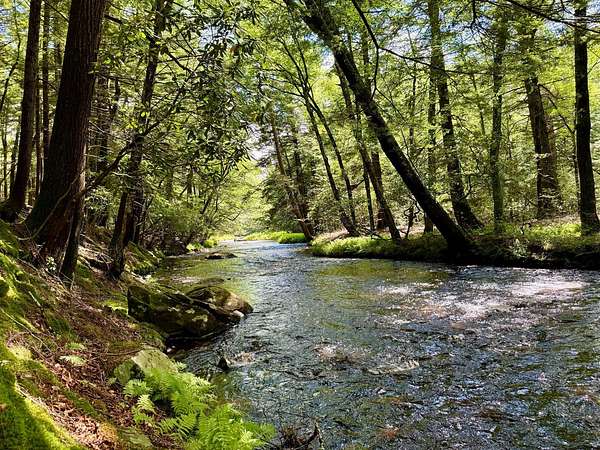 72.3 Acres of Recreational & Residential Land for Sale in Monticello, New York