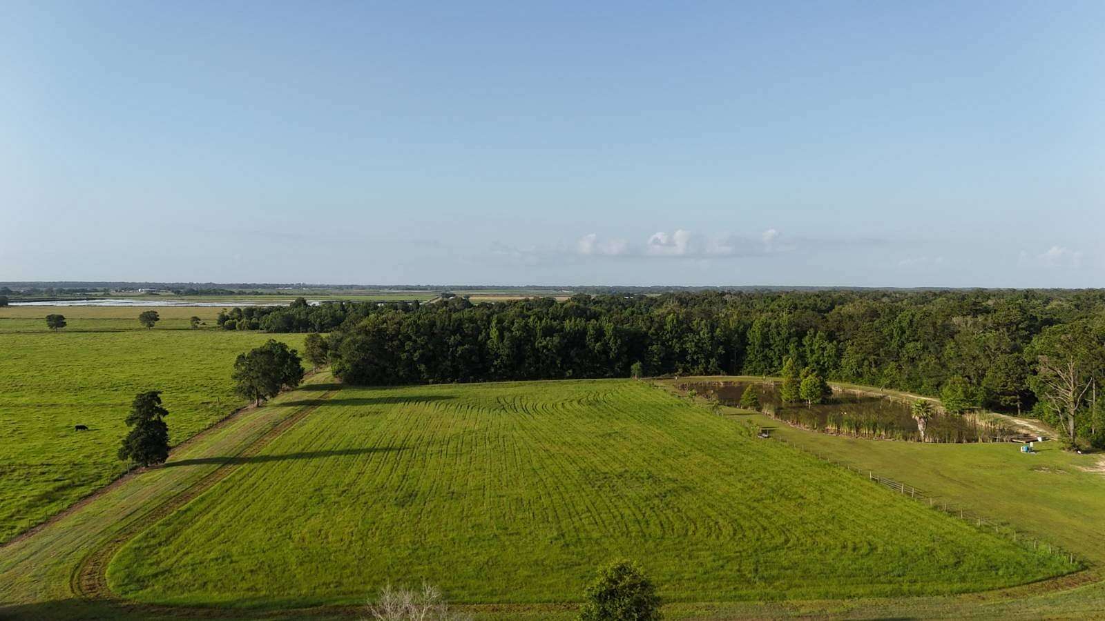 47 Acres of Land with Home for Sale in Welsh, Louisiana