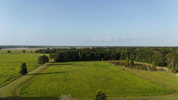47 Acres of Land with Home for Sale in Welsh, Louisiana