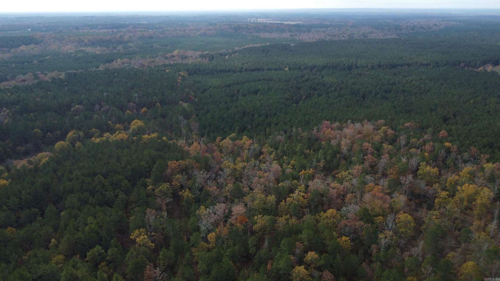 65.3 Acres of Recreational Land for Sale in Joan, Arkansas