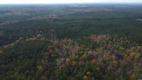 65.3 Acres of Recreational Land for Sale in Joan, Arkansas