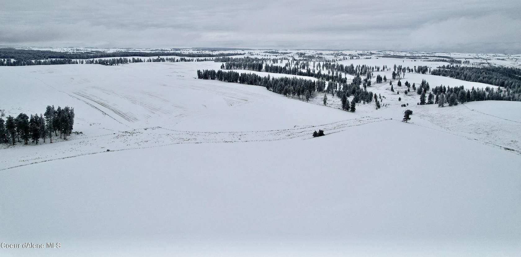 40 Acres of Land for Sale in Craigmont, Idaho